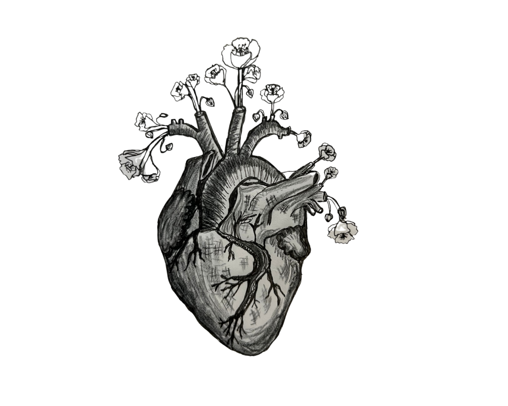 READU heart illustration by Esther Rourke